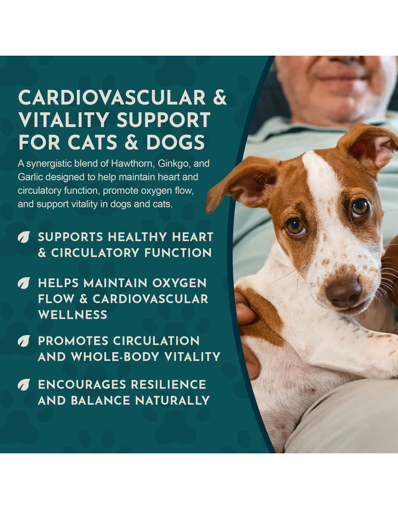 Animal Essentials Animal Essentials Supplements | Heart Health 2 oz