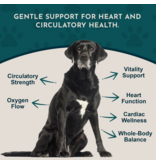 Animal Essentials Animal Essentials Supplements | Heart Health 2 oz