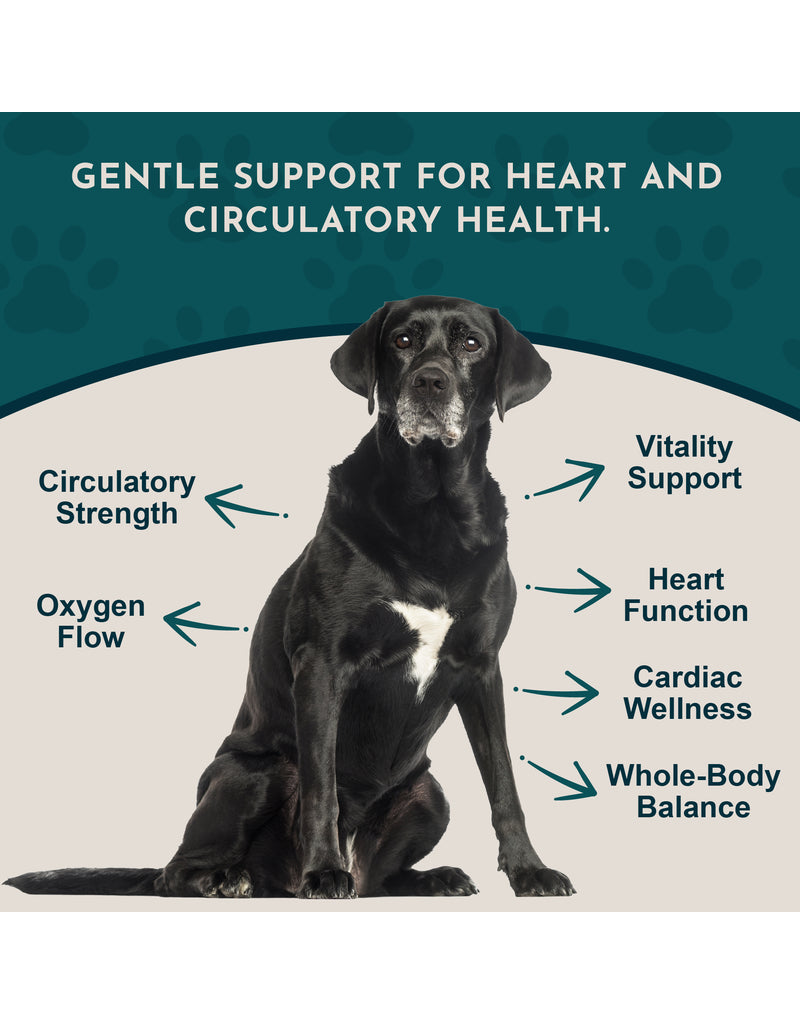 Animal Essentials Animal Essentials Supplements | Heart Health 2 oz