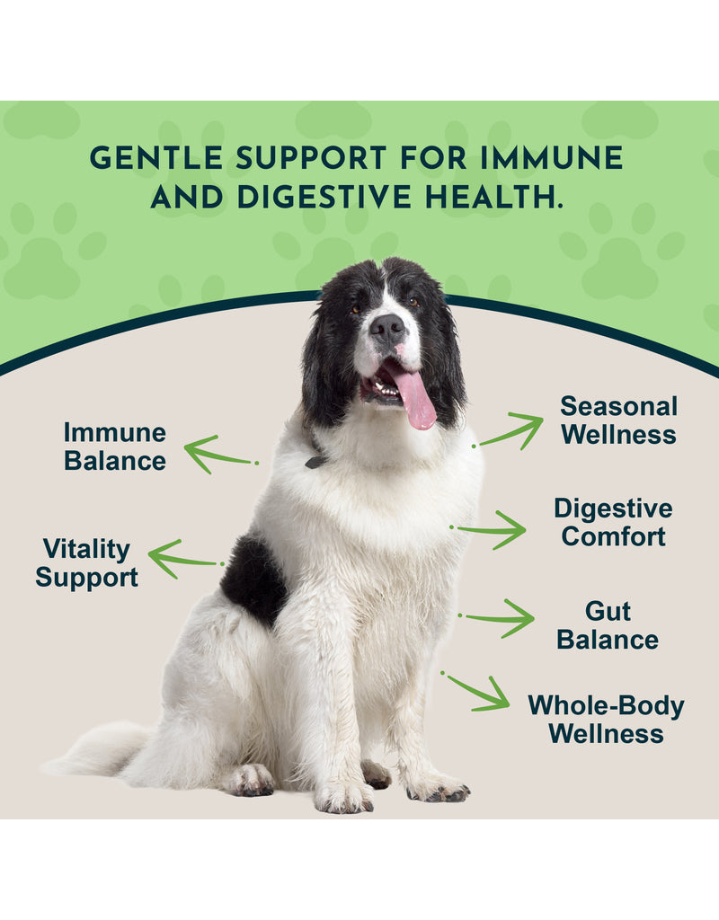 Animal Essentials Animal Essentials Supplements | Garlic 2 oz