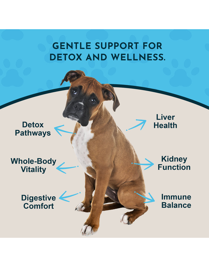Animal Essentials Animal Essentials Supplements | Detox Blend 2 oz