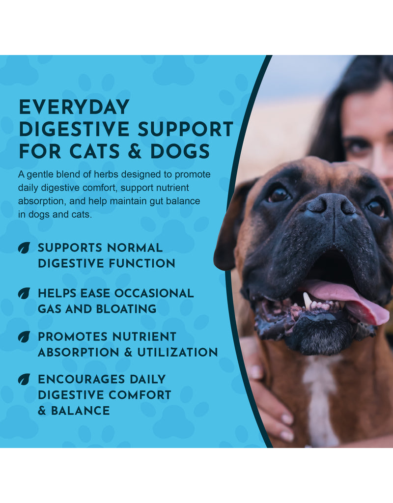 Animal Essentials Animal Essentials Supplements | Daily Digestion 2 oz