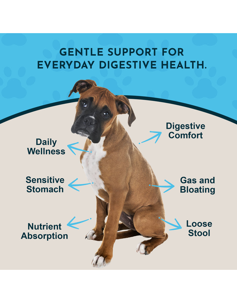 Animal Essentials Animal Essentials Supplements | Daily Digestion 2 oz