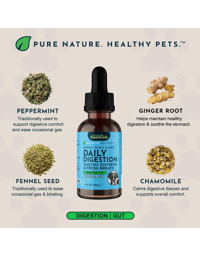 Animal Essentials Animal Essentials Supplements | Daily Digestion 2 oz