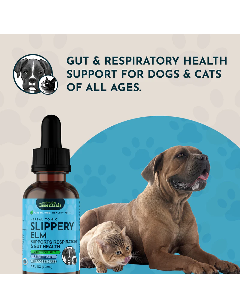 Animal Essentials Animal Essentials Supplements | Slippery Elm 2 oz