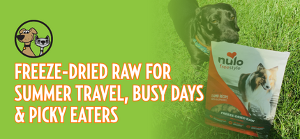 Freeze-Dried Raw for Summer Travel, Busy Days & Picky Eaters
