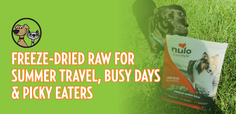 Freeze-Dried Raw for Summer Travel, Busy Days & Picky Eaters