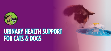 Urinary Health Support for Cats & Dogs Starts with Moisture