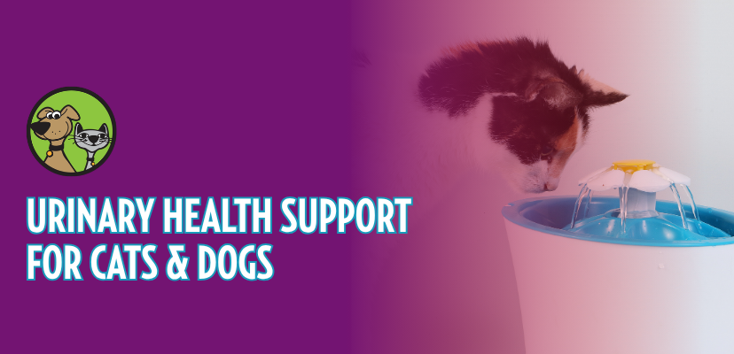 Urinary Health Support for Cats & Dogs Starts with Moisture