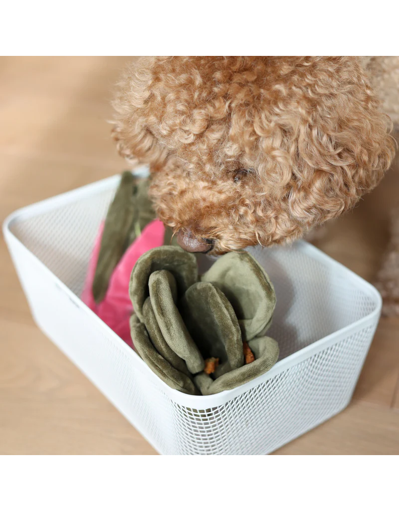Pups & Bubs Pups & Bubs Plush Dog Toy | Snuffle Swiss Chard