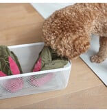 Pups & Bubs Pups & Bubs Plush Dog Toy | Snuffle Swiss Chard