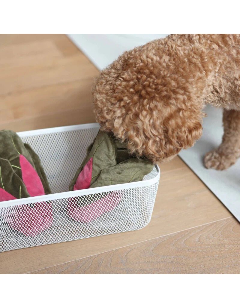 Pups & Bubs Pups & Bubs Plush Dog Toy | Snuffle Swiss Chard