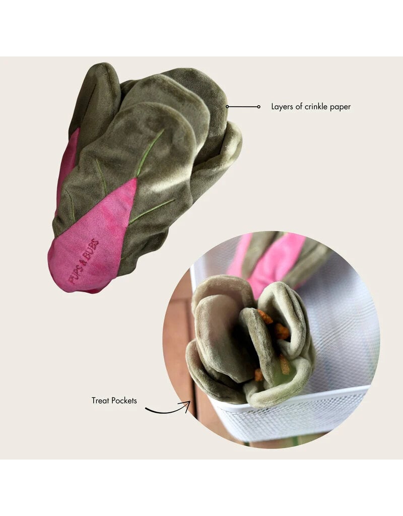 Pups & Bubs Pups & Bubs Plush Dog Toy | Snuffle Swiss Chard