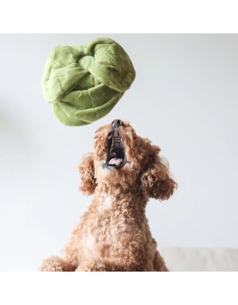 Pups & Bubs Pups & Bubs Plush Dog Toy | Snuffle Green Cabbage