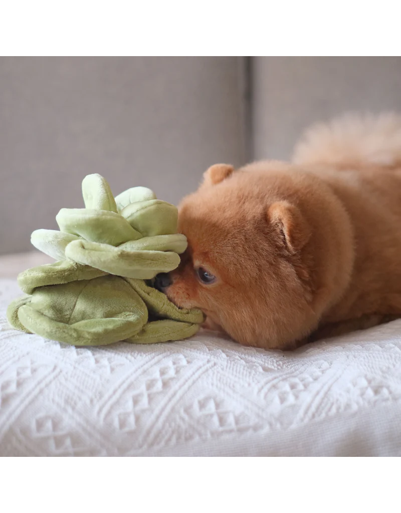 Pups & Bubs Pups & Bubs Plush Dog Toy | Snuffle Green Cabbage