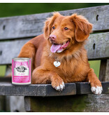 Fromm Fromm Classic Dog Food Can | Puppy Chicken & Salmon Pate 12.5 oz single