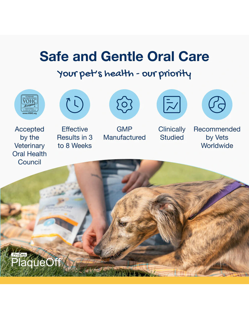 Plaque Off ProDen Plaque Off Dental Chews | Peanut Butter & Banana Mini 12 oz