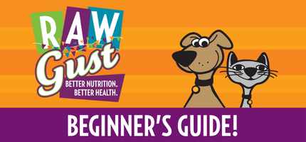 Rawgust Beginner’s Guide: How to Start Raw Feeding Your Dog or Cat