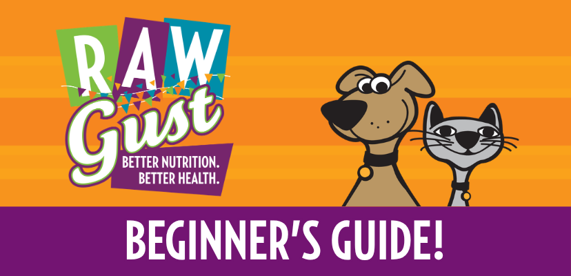 Rawgust Beginner’s Guide: How to Start Raw Feeding Your Dog or Cat