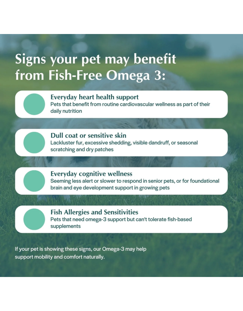 Pet Releaf Pet Releaf Rituals | Fish-Free Omega 3 Fatty Acids 8 oz