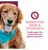 Fromm Fromm Nutritionals Canned Dog Food | Sensitive Skin & Stomach Pate 13 oz single