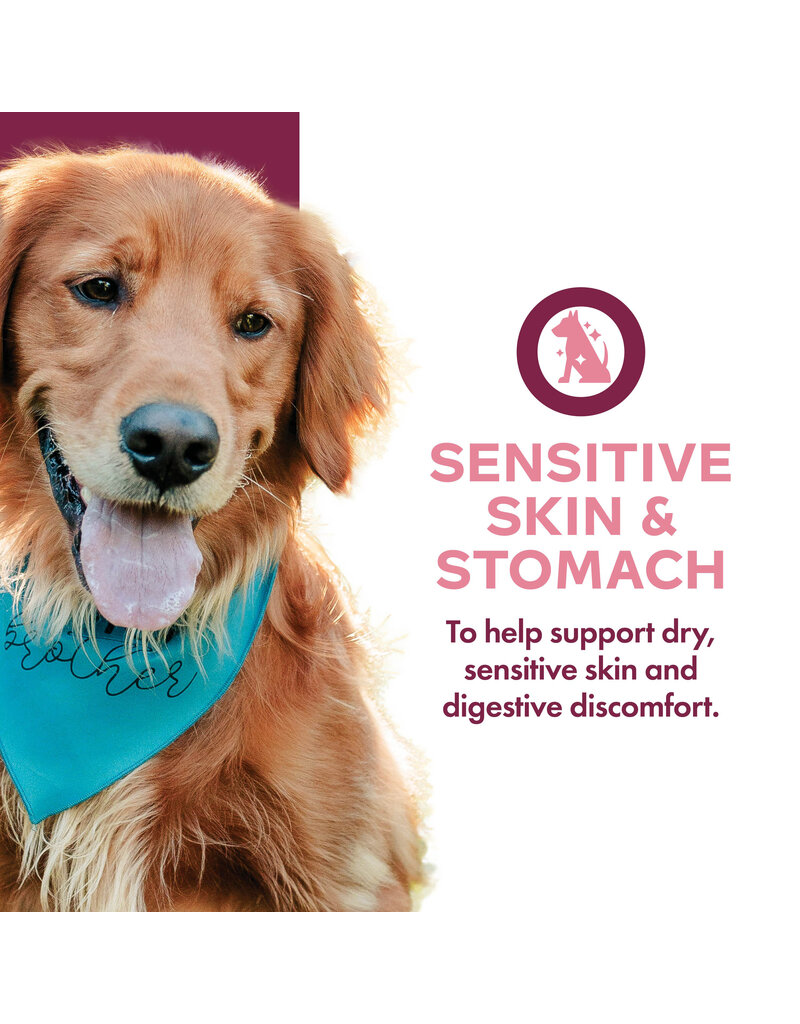 Fromm Fromm Nutritionals Canned Dog Food | Sensitive Skin & Stomach Pate 13 oz single
