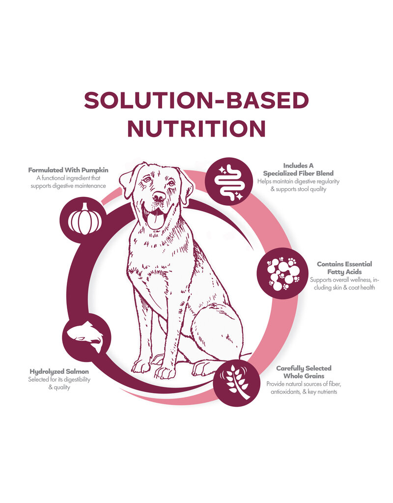 Fromm Fromm Nutritionals Dog Kibble | Salmon & Oats Skin & Stomach 4 lb