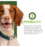 Fromm Fromm Nutritionals Dog Kibble | Chicken & Oats Mobility 4 lb