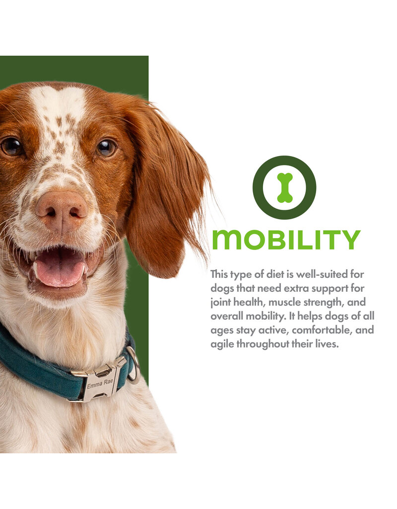 Fromm Fromm Nutritionals Dog Kibble | Chicken & Oats Mobility 4 lb