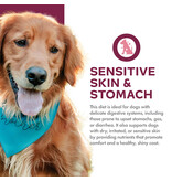 Fromm Fromm Nutritionals Dog Kibble | Salmon & Oats Skin & Stomach 26 lb