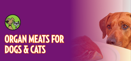 Organ Meats for Dogs and Cats: Small Portions, Powerful Nutrition