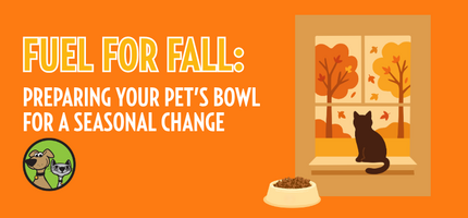 Fuel for Fall: Preparing Your Pet’s Bowl for a Seasonal Routine Change