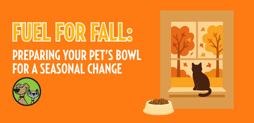 Fuel for Fall: Preparing Your Pet’s Bowl for a Seasonal Routine Change
