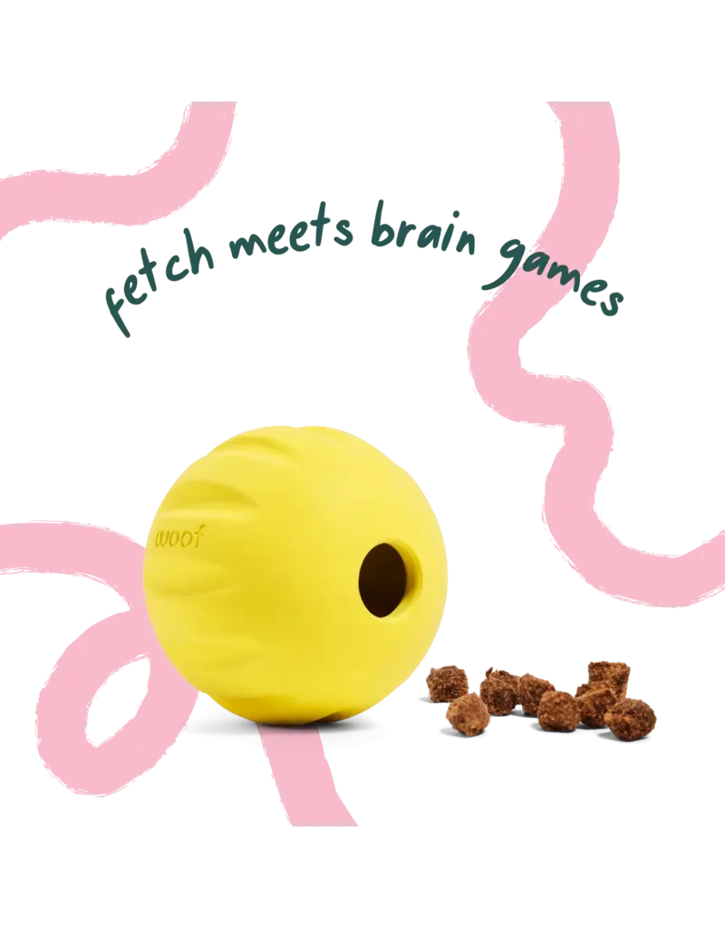 Woof Woof Dog Toys | Flyball 2-in-1 Fetch Toy 3 Pack