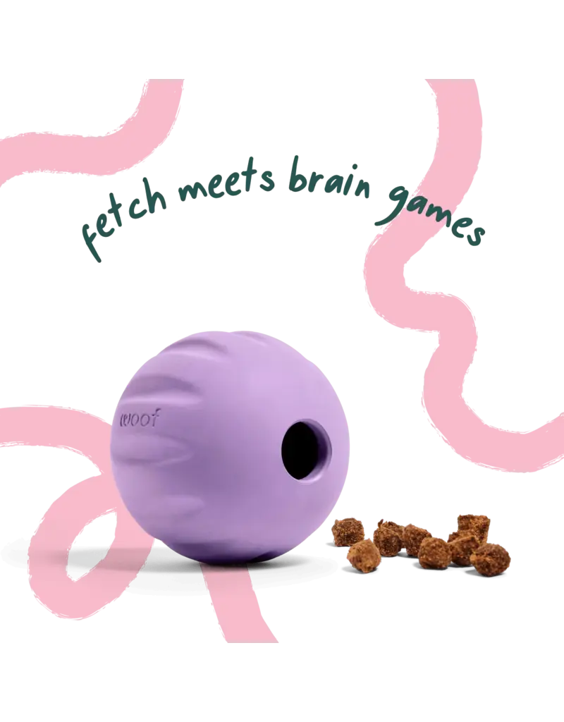Woof Woof Dog Toys | Flyball 2-in-1 Fetch Toy 3 Pack