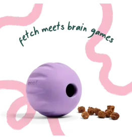 Woof Woof Dog Toys | Flyball 2-in-1 Single Fetch Toy Lavender