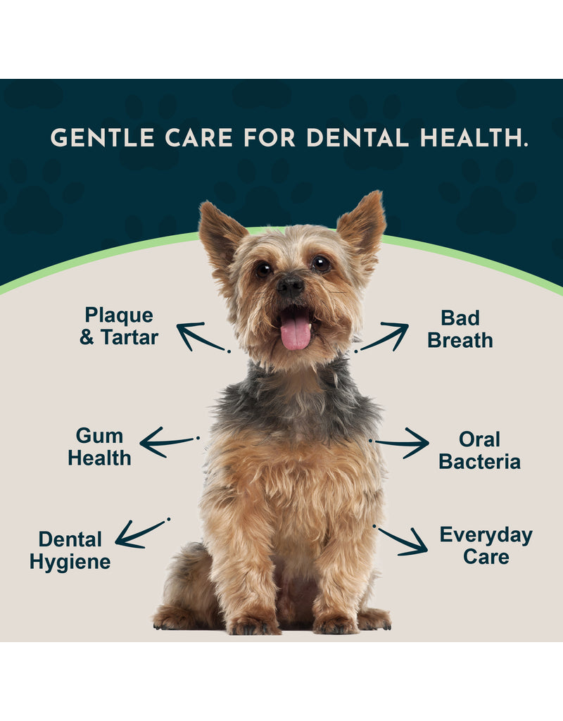 Animal Essentials Animal Essentials Supplements | Sea Dent For Dogs & Cats 50 g