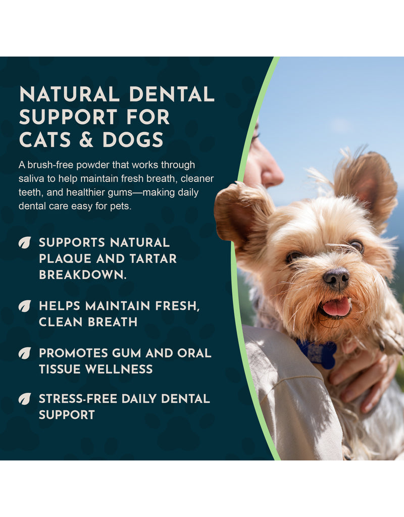 Animal Essentials Animal Essentials Supplements | Sea Dent For Dogs & Cats 50 g