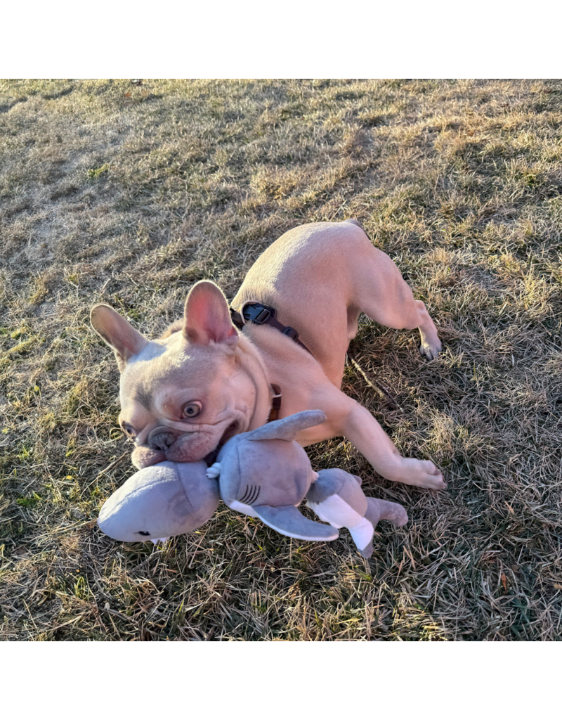 Tall Tails Tall Tails Plush Dog Toys | Jointed Shark with Rope 14"