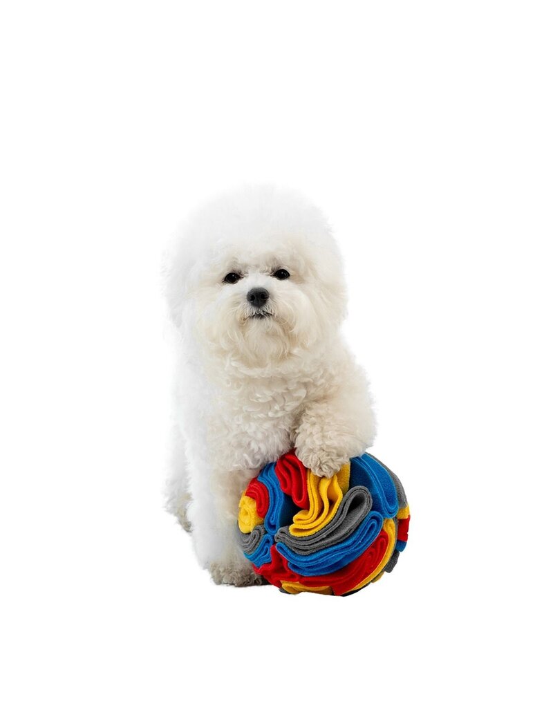 Territory Territory Plush Dog Toy | Snuffle Ball Foraging Toy 6"