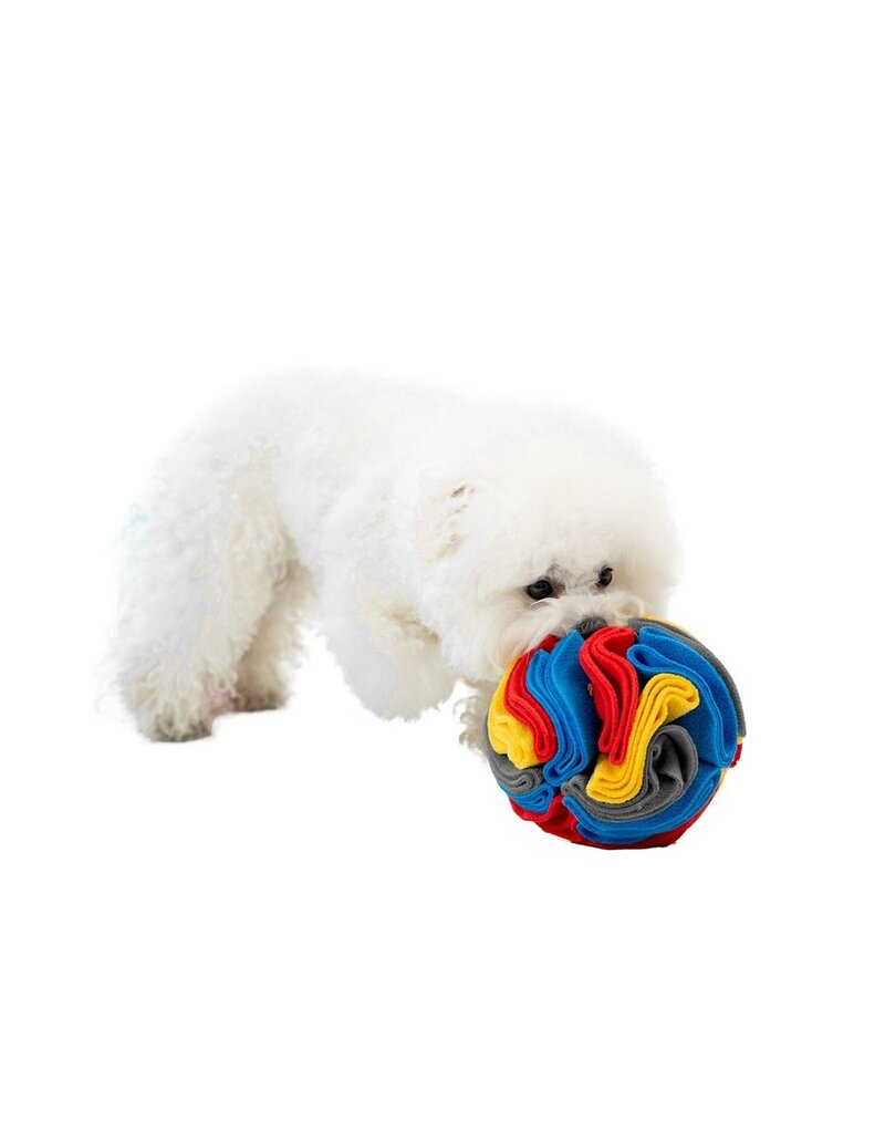 Territory Territory Plush Dog Toy | Snuffle Ball Foraging Toy 6"