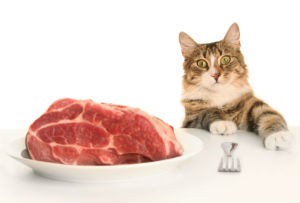 5 Facts That Pet Owners Should Know About Raw Pet Food
