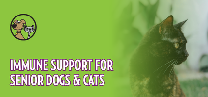 Immune Support for Senior Dogs & Cats
