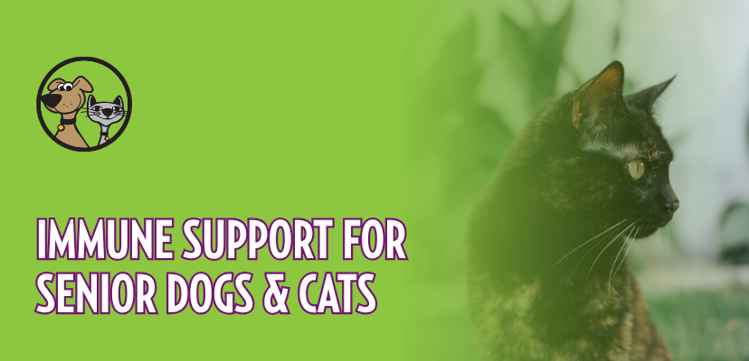Immune Support for Senior Dogs & Cats