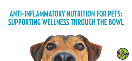 Anti-Inflammatory Nutrition for Dogs & Cats: Supporting Wellness Through the Bowl
