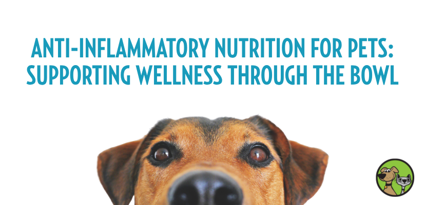 Anti-Inflammatory Nutrition for Dogs & Cats: Supporting Wellness Through the Bowl