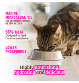 RAWZ RAWZ Canned Cat Food | Low Phosphorus Turkey in Broth Pate 5.5 oz single