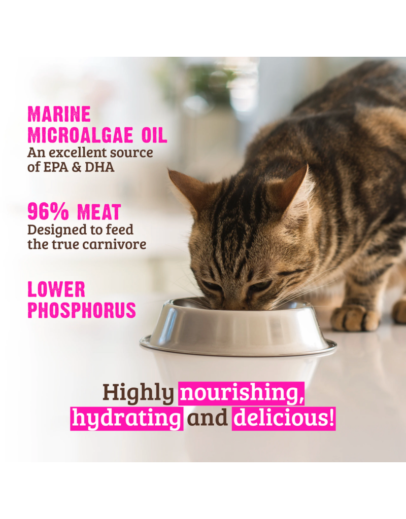 RAWZ RAWZ Canned Cat Food | Low Phosphorus Turkey in Broth Pate 5.5 oz single