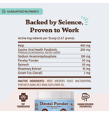 Natural Dog Company Natural Dog Company Supplements | Dental Powder 2.82 oz