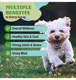 Natural Dog Company Natural Dog Company Supplements | Super Greens Powder 8 oz